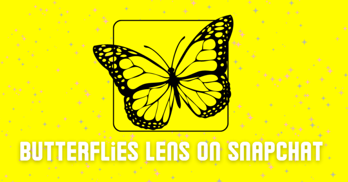 Unlock the butterflies lens on Snapchat from your camera roll